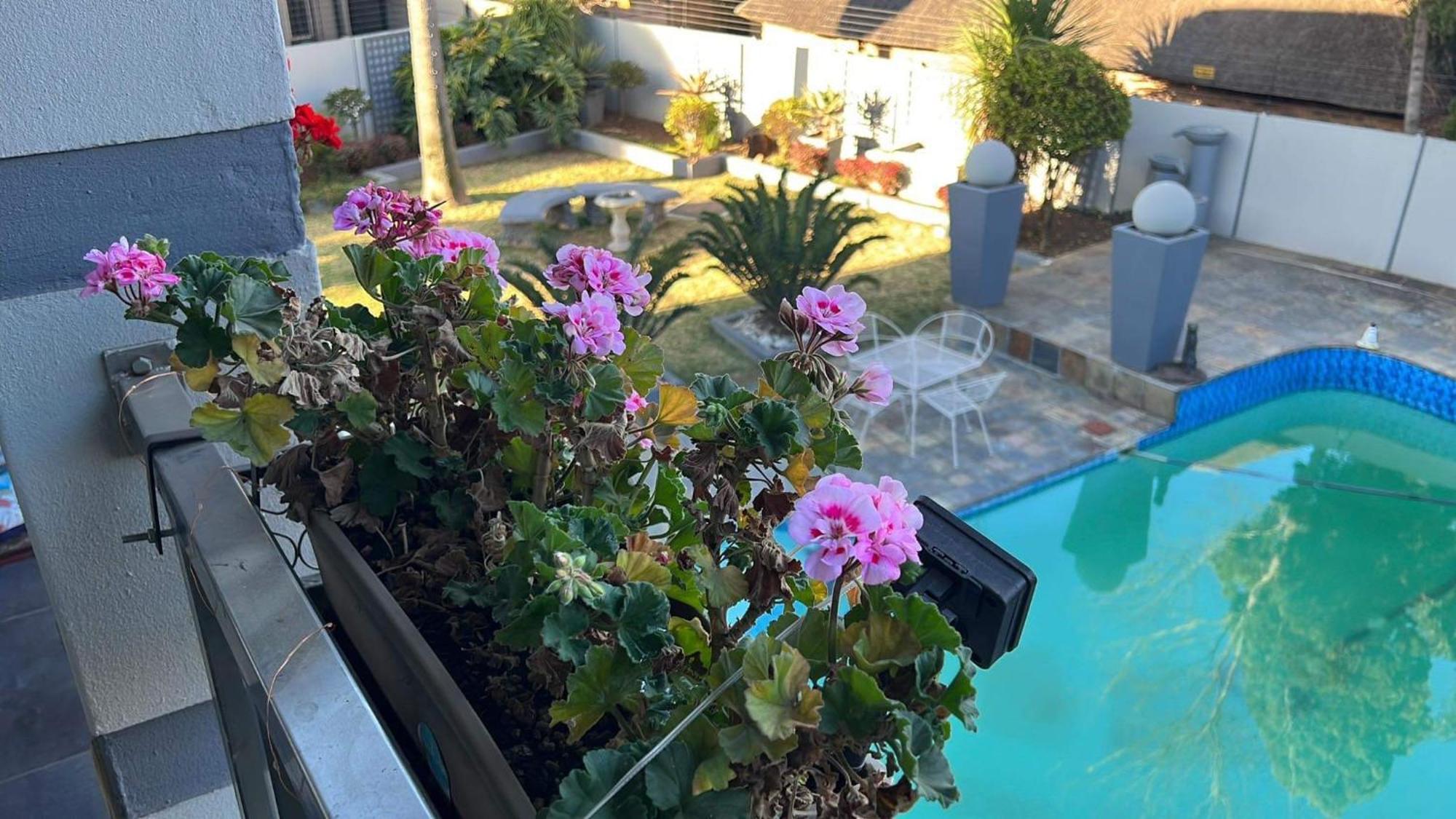 2 Op Terblanche Guesthouse Boksburg Buitenkant foto